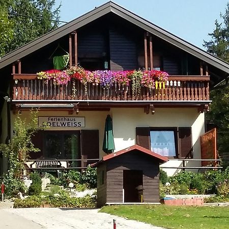 Ferienhaus Edelweiss 圣卡荐 外观 照片