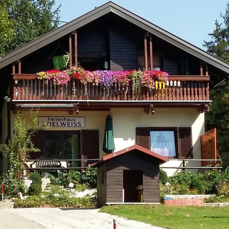 Ferienhaus Edelweiss 圣卡荐 外观 照片